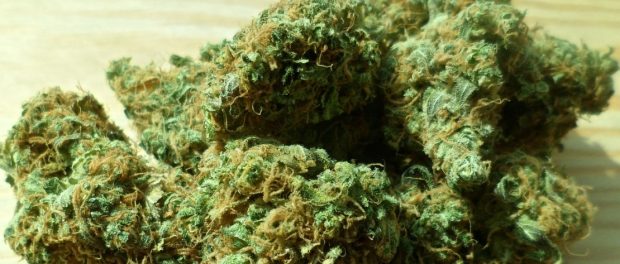 Marijuana-Payment-Processing Marijuana-Payment-Processing