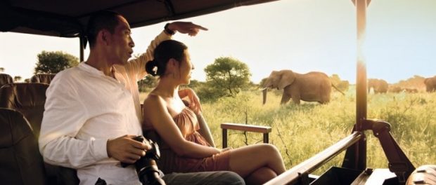 Chinese_safari__750_500_90