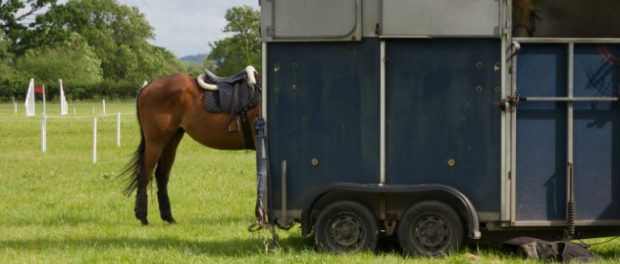 Horsebox Insurance Horsebox Insurance