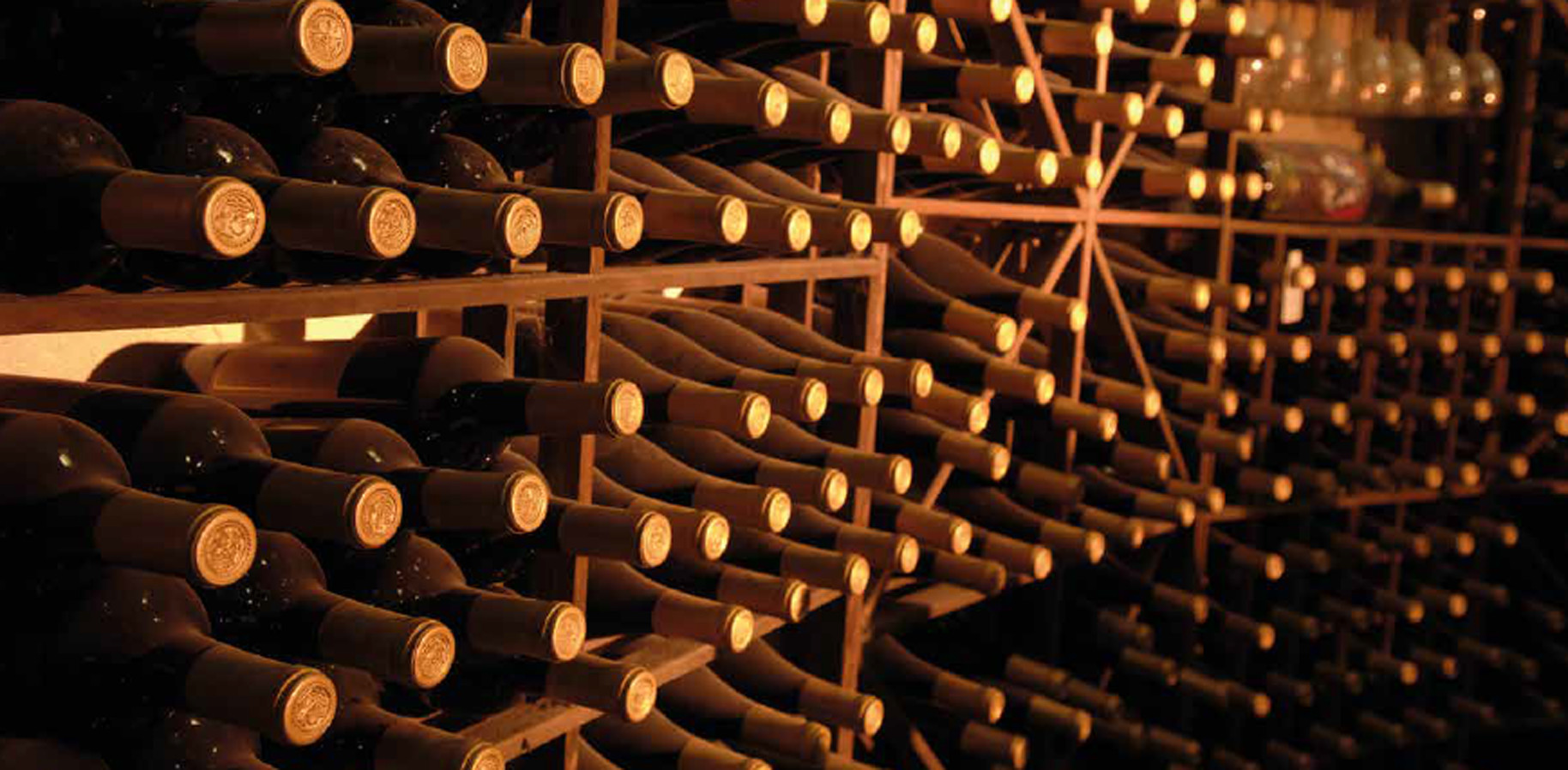 large-wine-collection