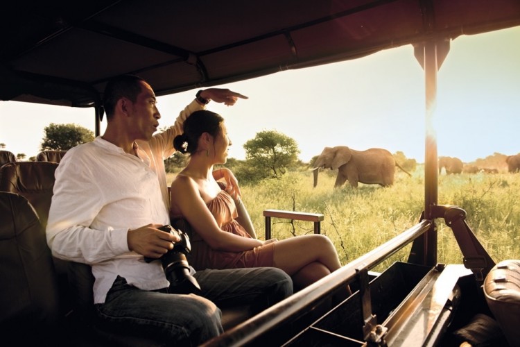 Chinese_safari__750_500_90