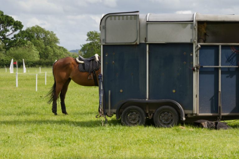 Horsebox Insurance Horsebox Insurance