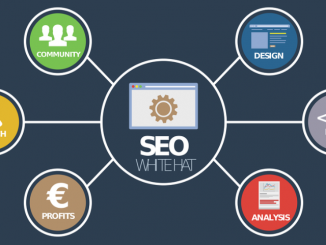 naples-seo-company