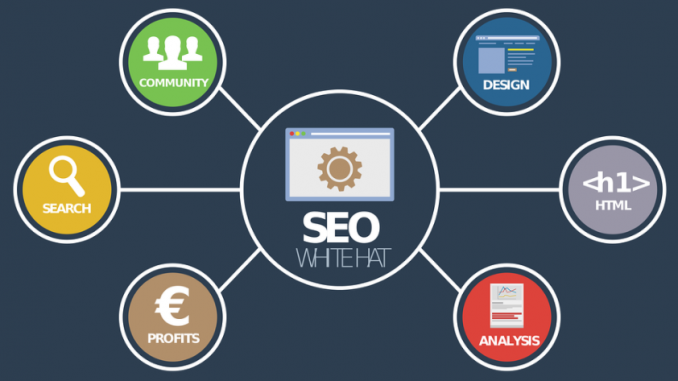 naples-seo-company naples-seo-company