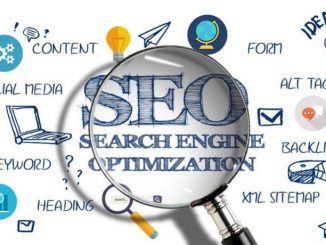 SEO expert