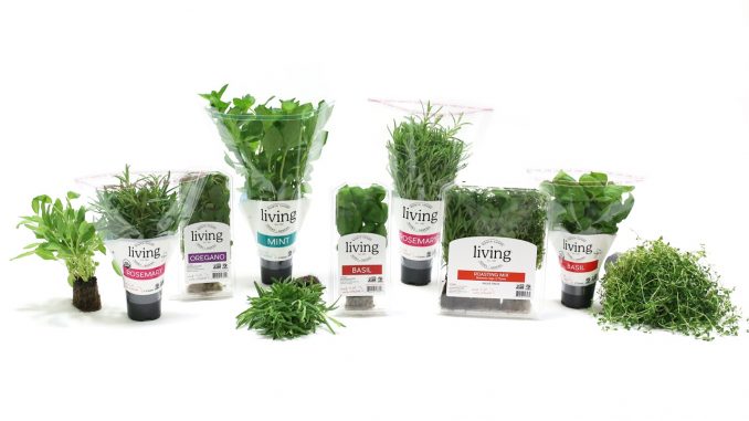 Why Packaging Design Is Important in Today’s Grocery Market Why Packaging Design Is Important in Today’s Grocery Market